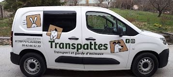 Transport